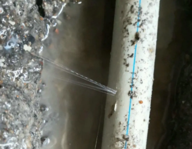 平顶山叶县测漏水哪家好