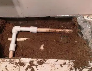 平顶山叶县测漏水哪家好