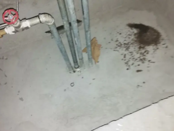 平顶山叶县卫生间测漏水价格明细