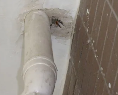 平顶山叶县漏水检测哪家好